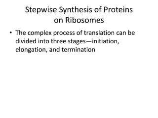 Stepwise Synthesis of Proteins
on Ribosomes
• The complex process of translation can be
divided into three stages—initiation,
elongation, and termination
 