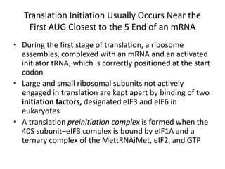 Translation Initiation Usually Occurs Near the
First AUG Closest to the 5 End of an mRNA
• During the first stage of translation, a ribosome
assembles, complexed with an mRNA and an activated
initiator tRNA, which is correctly positioned at the start
codon
• Large and small ribosomal subunits not actively
engaged in translation are kept apart by binding of two
initiation factors, designated eIF3 and eIF6 in
eukaryotes
• A translation preinitiation complex is formed when the
40S subunit–eIF3 complex is bound by eIF1A and a
ternary complex of the MettRNAiMet, eIF2, and GTP
 