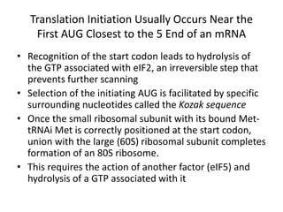 Translation Initiation Usually Occurs Near the
First AUG Closest to the 5 End of an mRNA
• Recognition of the start codon leads to hydrolysis of
the GTP associated with eIF2, an irreversible step that
prevents further scanning
• Selection of the initiating AUG is facilitated by specific
surrounding nucleotides called the Kozak sequence
• Once the small ribosomal subunit with its bound Met-
tRNAi Met is correctly positioned at the start codon,
union with the large (60S) ribosomal subunit completes
formation of an 80S ribosome.
• This requires the action of another factor (eIF5) and
hydrolysis of a GTP associated with it
 