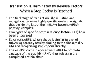 Translation Is Terminated by Release Factors
When a Stop Codon Is Reached
• The final stage of translation, like initiation and
elongation, requires highly specific molecular signals
that decide the fateof the mRNA–ribosome–tRNA-
peptidyl complex
• Two types of specific protein release factors (RFs) have
been discovered
• Eukaryotic eRF1, whose shape is similar to that of
tRNAs, apparently acts by binding to the ribosomal A
site and recognizing stop codons directly
• The eRF3GTP acts in concert with eRF1 to promote
cleavage of the peptidyl-tRNA, thus releasing the
completed protein chain
 