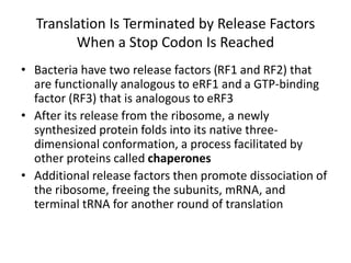 Translation Is Terminated by Release Factors
When a Stop Codon Is Reached
• Bacteria have two release factors (RF1 and RF2) that
are functionally analogous to eRF1 and a GTP-binding
factor (RF3) that is analogous to eRF3
• After its release from the ribosome, a newly
synthesized protein folds into its native three-
dimensional conformation, a process facilitated by
other proteins called chaperones
• Additional release factors then promote dissociation of
the ribosome, freeing the subunits, mRNA, and
terminal tRNA for another round of translation
 