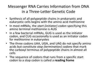 Messenger RNA Carries Information from DNA
in a Three-Letter Genetic Code
• Synthesis of all polypeptide chains in prokaryotic and
eukaryotic cells begins with the amino acid methionine
• In most mRNAs, the start (initiator) codon specifying this
amino terminal methionine is AUG
• In a few bacterial mRNAs, GUG is used as the initiator
codon, and CUG occasionally is used as an initiator codon
for methionine in eukaryotes
• The three codons UAA, UGA, and UAG do not specify amino
acids but constitute stop (termination) codons that mark
the carboxyl terminus of polypeptide chains in almost all
cells
• The sequence of codons that runs from a specific start
codon to a stop codon is called a reading frame
 