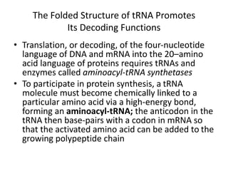The Folded Structure of tRNA Promotes
Its Decoding Functions
• Translation, or decoding, of the four-nucleotide
language of DNA and mRNA into the 20–amino
acid language of proteins requires tRNAs and
enzymes called aminoacyl-tRNA synthetases
• To participate in protein synthesis, a tRNA
molecule must become chemically linked to a
particular amino acid via a high-energy bond,
forming an aminoacyl-tRNA; the anticodon in the
tRNA then base-pairs with a codon in mRNA so
that the activated amino acid can be added to the
growing polypeptide chain
 