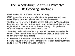 The Folded Structure of tRNA Promotes
Its Decoding Functions
• tRNA molecules, are 70–80 nucleotides long
• tRNA molecules fold into a similar stem-loop arrangement that
resembles a cloverleaf when drawn in two dimensions
• The four stems are short double helices stabilized by Watson-Crick
base pairing; three of the four stems have loops containing seven or
eight bases at their ends, while the remaining, unlooped stem
contains the free 3 and 5 ends of the chain.
• The three nucleotides composing the anticodon are located at the
center of the middle loop, in an accessible position that facilitates
codon-anticodon base pairing
• In all tRNAs, the 3 end of the unlooped amino acid acceptor stem
has the sequence CCA, which in most cases is added after synthesis
and processing of the tRNA are complete
 
