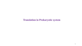 10
Translation in Prokaryotic system
 