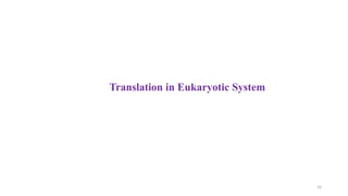 16
Translation in Eukaryotic System
 