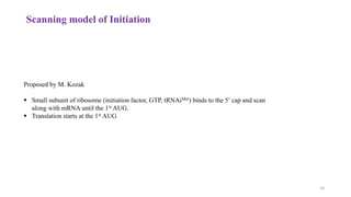 Scanning model of Initiation
Proposed by M. Kozak
 Small subunit of ribosome (initiation factor, GTP, tRNAiMet) binds to the 5’ cap and scan
along with mRNA until the 1st AUG.
 Translation starts at the 1st AUG
18
 