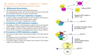 The initiation of translation in eukaryotes is complex,
involving at least 10 eIFs & divided into 4 steps :
a. Ribosomal dissociation.
• The 80S ribosome dissociates to form 40S & 60S subunits.
• Two initiating factors namely elF-3 & elF-1A bind to the newly formed 40S
subunit &thereby block its reassociation with 60S subunit.
b. Formation of 43S pre-initiation complex.
• A ternary complex containing met-tRNA′ & elF-2 bound to GTP attaches to
40S ribosomal subunit to form 43S preinitiation complex.
• The presence of elF-3 & elF-1A stabilizes this complex.
c. Formation of 48S initiation complex.
• The binding of mRNA to 43S preinitiation complex results in the formation
of 48S initiation complex through the intermediate 43S initiation complex.
• elF-4F complex is formed by the association of elF-4G, elF-4A with elF-
4E.The elF-4F (referred to as cap binding protein) binds to the cap of mRNA.
d. Formation of 80S initiation complex.
• 48S initiation complex binds to 60S ribosomal subunit to form 80S initiation
complex.
• The binding involves the hydrolysis of GTP (bound to elF-2). This step is
facilitated by the involvement of elF-5.
• As the 80S complex is formed, the initiation factors bound to 48S initiation
complex are released & recycled.
19
 