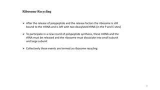Ribosome Recycling
 After the release of polypeptide and the release factors the ribosome is still
bound to the mRNA and is left with two deacylated tRNA (in the P and E sites)
 To participate in a new round of polypeptide synthesis, these mRNA and the
tRNA must be released and the ribosome must dissociate into small subunit
and large subunit
 Collectively these events are termed as ribosome recycling
22
 