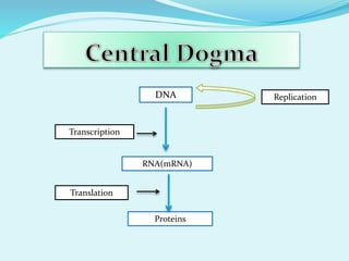 DNA
RNA(mRNA)
Proteins
Transcription
Replication
Translation
 