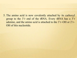 5. The amino acid is now covalently attached by its carboxyl
group to the 3’r end of the tRNA. Every tRNA has a 3’r
adenine, and the amino acid is attached to the 3’r–OH or 2’r–
OH of this nucleotide.
 