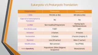 Translation In Prokaryotes and Eukaryotes By Muhammad Arslan Yasin | PDF