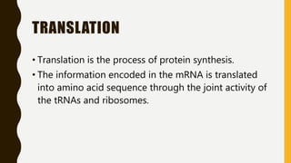 TRANSLATION
• Translation is the process of protein synthesis.
• The information encoded in the mRNA is translated
into amino acid sequence through the joint activity of
the tRNAs and ribosomes.
 