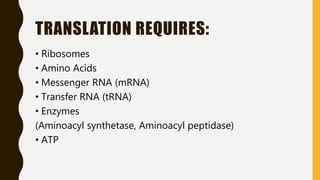 TRANSLATION REQUIRES:
• Ribosomes
• Amino Acids
• Messenger RNA (mRNA)
• Transfer RNA (tRNA)
• Enzymes
(Aminoacyl synthetase, Aminoacyl peptidase)
• ATP
 