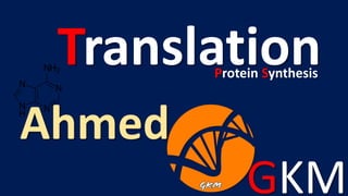 GKM
Ahmed
TranslationProtein Synthesis
 