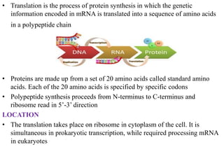 Protein Read Translation(molecular biology) | PPTX