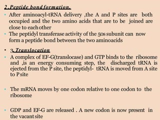 2 .Peptide bond formation.
• After aminoacyl-tRNA delivery ,the A and P sites are both
occupied and the two amino acids that are to be joined are
close to eachother
• The peptidyl transferase activity of the 50ssubunit can now
form a peptide bond between the two aminoacids
• 3. Translocation
• A complex of EF-G(translocase) and GTP binds to the ribosome
and ,is an energy consuming step, the discharged tRNA is
ejected from the P site, the peptidyl- tRNA is moved from A site
to Psite
• The mRNA moves by one codon relative to one codon to the
ribosome
• GDP and EF-G are released . A new codon is now present in
the vacantsite
 