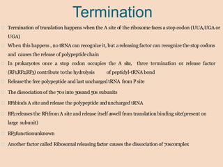 Termination
Termination of translation happens when the A site of the ribosome faces a stop codon (UUA,UGA or
UGA)
When this happens , no tRNA can recognize it, but areleasing factor can recognize the stop codons
and causes the release of polypeptidechain
In prokaryotes once a stop codon occupies the A site, three termination or release factor
(RF1,RF2,RF3) contribute tothe hydrolysis of peptidyl-tRNA bond
Releasethe free polypeptide and last unchargedtRNA from P site
The dissociation of the 70s into 30sand 50s subunits
RF1binds A site and release the polypeptide anduncharged tRNA
RF2releases the RF1from A site and release itself aswell from translation binding site(present on
large subunit)
RF3functionunknown
Another factor called Ribosomalreleasingfactor causes the dissociation of 70scomplex
 
