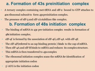 a. Formation of 43s preinitiation complex
• A ternary complex containing met-tRNA and eIF-2 bound to GTP attaches to
40sribosomal subunitto form 43spreinitiation complex.
• The presence of eIF-3 and eIF-1Astabilizes this complex.
b. Formation of 48s initiation complex
• The binding of mRNA to 43s pre-initiation complex results in formation of
48sinitiation complex.
• eIF-4f is formed by the association of eIF-4G,eIF-4A with eIF-4E
• The eIF-4F(referred to as cap binding protein ) binds to the cap ofmRNA.
• Then eIF-4A and eIF-B binds to mRNA and reduces its complexstructure.
• This mRNA is then transferred to 43scomplex
• The ribosomal initiation complex scans the mRNA for identification of
appropriate initiation codon
• 5’-AUG is the initiation codon
 
