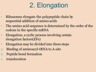 2. Elongation
• Ribosomes elongate the polypeptide chain by
sequential addition of aminoacids
• The amino acid sequence is determined by the order of the
codons in the specific mRNA
• Elongation, a cyclic process involving certain
elongation factors(EFs)
• Elongation may be divided into three steps
a. Binding of aminoacyl-tRNA to A-site
b. Peptide bond formation
c. translocation
 