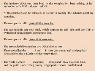 The initiator tRNA can then bind to the complex by base pairing of its
anticodon with AUG codon on mRNA
At this point,IF3 can be released, as its role in keeping the subunits apart are
complete.
This complex is called 30sinitiation complex.
The 50s subunit can now bind, which displace IF1 and IF2, and the GTP is
hydrolysed in this energy consuming step.
This complex is called 70sinitiation complex.
The assembled ribosome has two tRNA bindingsites
These arecalled the A and P sites , for aminoacyl and peptidyl
sites and one site is E(exit site) for empty tRNA
The A siteis where incoming amino acyl tRNA molecule bind,
and the p site is where thegrowing polypeptide chain is usuallyfound
 