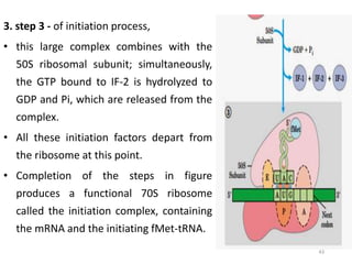 Intitiation Complex Translation | PPTX