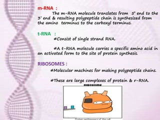 m-RNA :
The m-RNA molecule translates from 5’ end to the
3’ end & resulting polypeptide chain is synthesized from
the amino terminus to the carboxyl terminus.
t-RNA :
#Consist of single strand RNA.
#A t-RNA molecule carries a specific amino acid in
an activated form to the site of protein synthesis.
RIBOSOMES :
#Molecular machines for making polypeptide chains.
#These are large complexes of protein & r-RNA.
 