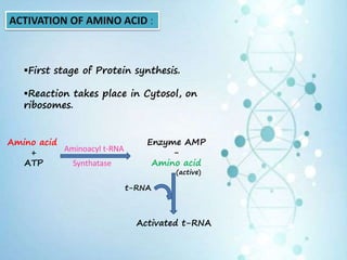 ACTIVATION OF AMINO ACID :
First stage of Protein synthesis.
Reaction takes place in Cytosol, on
ribosomes.
Amino acid
+
ATP
Enzyme AMP
-
Amino acid
(active)
Activated t-RNA
t-RNA
Aminoacyl t-RNA
Synthatase
 