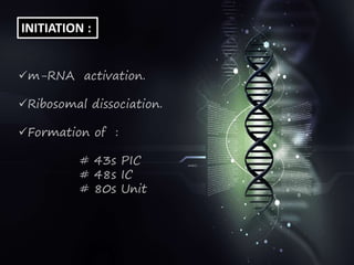 INITIATION :
m-RNA activation.
Ribosomal dissociation.
Formation of :
# 43s PIC
# 48s IC
# 80s Unit
 