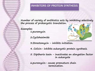 Number of variety of antibiotics acts by inhibiting selectively
the process of prokaryotic translation.
Examples:
1.puromycin
2.Cycloheximide
3.Streotomycin - inhibits initiation.
4. Colicin- inhibits eukaryotic protein synthesis.
5. Diptheria toxin - inactivates an elongation factor
in eukaryote
6.puromycin- causes premature chain
termination.
INHIBITORS OF PROTEIN SYNTHESIS
 