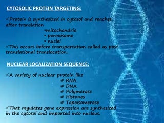 CYTOSOLIC PROTEIN TARGETING:
Protein is synthesized in cytosol and reaches
after translation
•mitochondria
• peroxisome
• nuclei
This occurs before transportation called as post
translational translocation.
NUCLEAR LOCALIZATION SEQUENCE:
A variety of nuclear protein like
# RNA
# DNA
# Polymerase
# Histones
# Topoisomerase
That regulates gene expression are synthesized
in the cytosol and imported into nucleus.
 