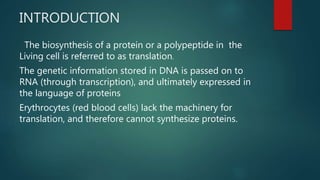 Translation of of mRNA to protein | PPTX
