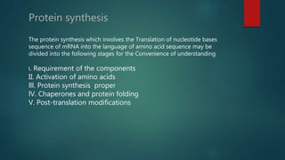 Translation of of mRNA to protein | PPTX
