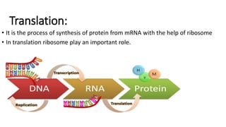 Translation:
• It is the process of synthesis of protein from mRNA with the help of ribosome
• In translation ribosome play an important role.
 
