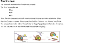 Stop Code Uaa Translation.pptx