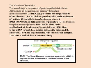Translation Base Images Translation.pdf