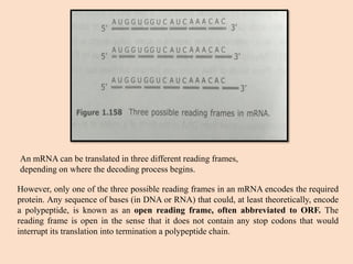 Translation.pdf