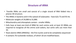 Structure of tRNA
• Transfer RNAs are small and consist of a single strand of RNA folded into a
precise 3D structure.
• The tRNAs in bacteria and in the cytosol of eukaryotes - have b/w 73 and 93 nts
• Molecular weights of 24,000 to 31,000.
• Mitochondria and chloroplasts contain - smaller tRNAs.
• Cells have at least one kind of tRNA for each amino acid; at least 32 tRNAs are
required to recognize all the amino acid codons, but some cells use more than
32.
• Yeast alanine tRNA (tRNAAla) - the first nucleic acid to be completely sequenced
• It contains 76 nucleotide residues, of which 10 are modified bases.
 