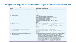 Components Required for the Five Major Stages of Protein Synthesis in E. coli
 