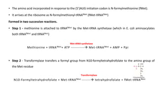 • The amino acid incorporated in response to the (5’)AUG initiation codon is N-formylmethionine (fMet).
• It arrives at the ribosome as N-formylmethionyl-tRNAfMet (fMet-tRNAfMet)
Formed in two successive reactions.
• Step 1 - methionine is attached to tRNAfMet by the Met-tRNA synthetase (which in E. coli aminoacylates
both tRNAfMet and tRNAMet)
Methionine + tRNAfMet+ ATP ----------- Met-tRNAfMet + AMP + Ppi
• Step 2 - Transformylase transfers a formyl group from N10-formyltetrahydrofolate to the amino group of
the Met residue
N10-Formyltetrahydrofolate + Met-tRNAfMet ------- tetrahydrofolate + fMet-tRNAfMet
Met-tRNA synthetase
Transformylase
 