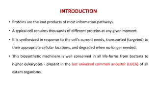 INTRODUCTION
• Proteins are the end products of most information pathways.
• A typical cell requires thousands of different proteins at any given moment.
• It is synthesized in response to the cell’s current needs, transported (targeted) to
their appropriate cellular locations, and degraded when no longer needed.
• This biosynthetic machinery is well conserved in all life-forms from bacteria to
higher eukaryotes - present in the last universal common ancestor (LUCA) of all
extant organisms.
 