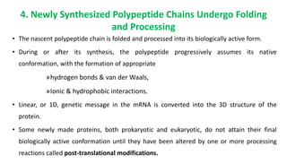 4. Newly Synthesized Polypeptide Chains Undergo Folding
and Processing
• The nascent polypeptide chain is folded and processed into its biologically active form.
• During or after its synthesis, the polypeptide progressively assumes its native
conformation, with the formation of appropriate
»hydrogen bonds & van der Waals,
»Ionic & hydrophobic interactions.
• Linear, or 1D, genetic message in the mRNA is converted into the 3D structure of the
protein.
• Some newly made proteins, both prokaryotic and eukaryotic, do not attain their final
biologically active conformation until they have been altered by one or more processing
reactions called post-translational modifications.
 