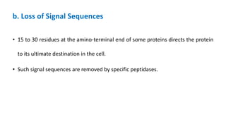 b. Loss of Signal Sequences
• 15 to 30 residues at the amino-terminal end of some proteins directs the protein
to its ultimate destination in the cell.
• Such signal sequences are removed by specific peptidases.
 