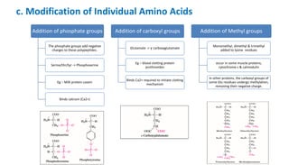c. Modification of Individual Amino Acids
Addition of phosphate groups
The phosphate groups add negative
charges to these polypeptides.
Serine/thr/tyr -> Phosphoserine
Eg – Milk protein casein
Binds calcium (Ca2+)
Addition of carboxyl groups
Glutamate -> γ carboxyglutamate
Eg – blood clotting protein
prothrombin
Binds Ca2+ required to initiate clotting
mechanism
Addition of Methyl groups
Monomethyl, dimethyl & trimethyl
added to lysine residues
occur in some muscle proteins,
cytochrome c & calmodulin
In other proteins, the carboxyl groups of
some Glu residues undergo methylation,
removing their negative charge.
 