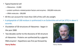 • Typical bacterial cell
– Ribosomes - 15,000
– protein synthesis–related protein factors and enzymes - 100,000 molecules
– tRNA molecules - 200,000
• All this can account for more than 35% of the cell’s dry weight.
• A polypeptide of 100 residues is synthesized in an Escherichia coli cell (at 370C) in about 5
seconds.
• Elucidation of 3D structures of ribosomes - began in
the year 2000
• Two decades earlier to the discovery of 3D structure
of ribosomes - Proteins are synthesized by a gigantic
RNA enzyme! - Hypothesis was first put forward by
Harry Noller.
 