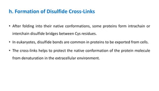 h. Formation of Disulfide Cross-Links
• After folding into their native conformations, some proteins form intrachain or
interchain disulfide bridges between Cys residues.
• In eukaryotes, disulfide bonds are common in proteins to be exported from cells.
• The cross-links helps to protect the native conformation of the protein molecule
from denaturation in the extracellular environment.
 