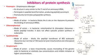 Peptidyl puromycin
Inhibitors of protein synthesis
• Puromycin - Streptomyces alboniger
– Its structure is very similar to the 3’ end of an aminoacyl-tRNA,
– Participate in peptide bond formation, producing peptidyl-puromycin
– Prematurely terminates polypeptide synthesis.
• Tetracyclines
– Mode of action - In bacteria blocks the A site on the ribosome & prevents
the binding of aminoacyl-tRNAs.
• Chloramphenicol
– Mode of action – in bacterial, mitochondrial & chloroplast ribosomes -
blocks peptidyl transfer; it does not affect cytosolic protein synthesis in
eukaryotes.
• Cycloheximide
– Mode of action - blocks the peptidyl transferase of 80S eukaryotic
ribosomes but not that of 70S bacterial (and mitochondrial and chloroplast)
ribosomes.
• Streptomycin
– Mode of action - a basic trisaccharide, causes misreading of the genetic
code (in bacteria) at relatively low concentrations and inhibits initiation at
higher concentrations.
 