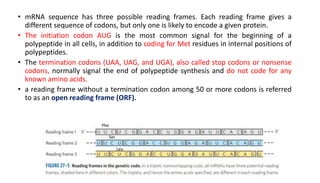 • mRNA sequence has three possible reading frames. Each reading frame gives a
different sequence of codons, but only one is likely to encode a given protein.
• The initiation codon AUG is the most common signal for the beginning of a
polypeptide in all cells, in addition to coding for Met residues in internal positions of
polypeptides.
• The termination codons (UAA, UAG, and UGA), also called stop codons or nonsense
codons, normally signal the end of polypeptide synthesis and do not code for any
known amino acids.
• a reading frame without a termination codon among 50 or more codons is referred
to as an open reading frame (ORF).
Phe
Ser
Leu
 