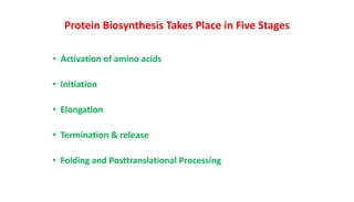 Protein Biosynthesis Takes Place in Five Stages
• Activation of amino acids
• Initiation
• Elongation
• Termination & release
• Folding and Posttranslational Processing
 