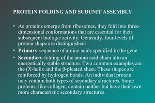 Translation detail mechanism described for students | PPT